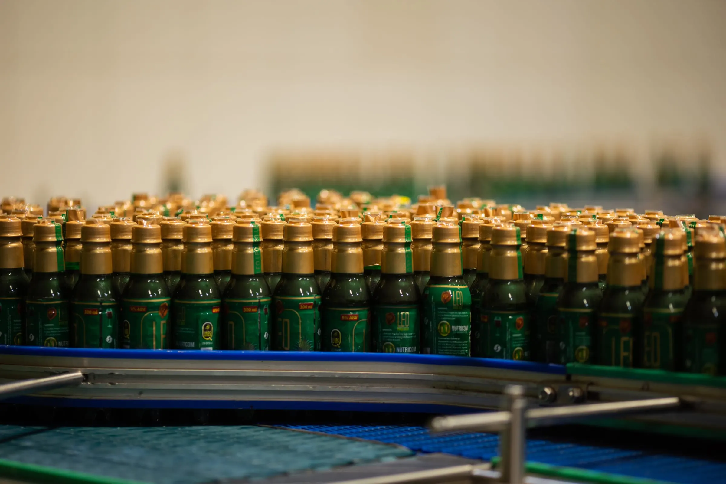 Rows of capped bottles moving along the line.